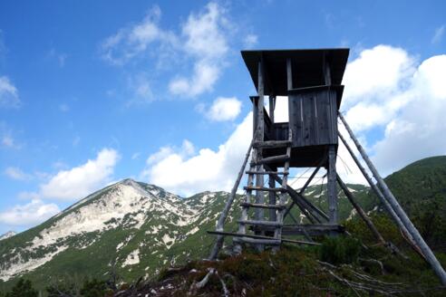 Schneekogel 1403m mit Jagastand