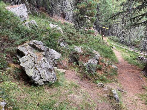 #4 Cache (Feldkögle Runde)