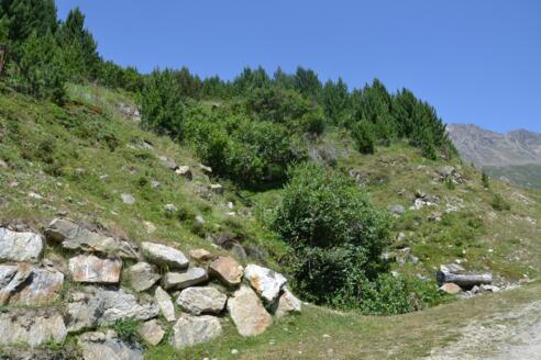 #1 Cache (Feldkögele Runde)