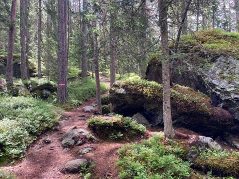 #3 Cache (Tauferbergrunde)