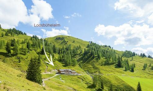 Loosbühelalm im Grossarltal