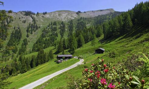 Karseggalm im Grossarltal