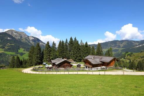 Heugathalm im Grossarltal