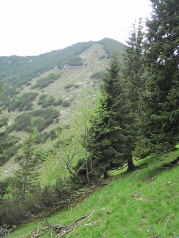 Blick zurück zum Brünstelskopf