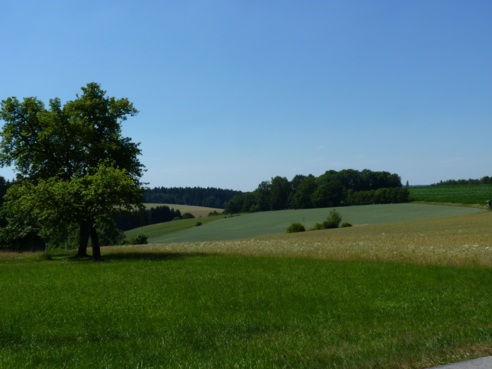 Ausblick bei Oberes Öd