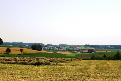 Ausblick von Sauersberg auf Mitterskirchen