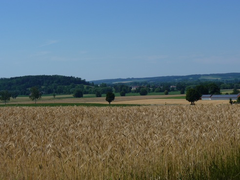 Blick ins Vilstal bei Esterndorf