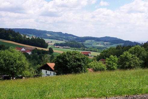 Blick vom Schellenberg