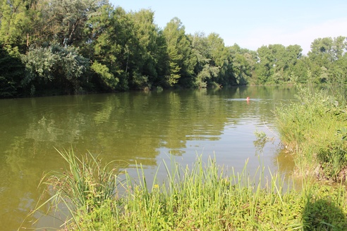 Notzinger Weiher