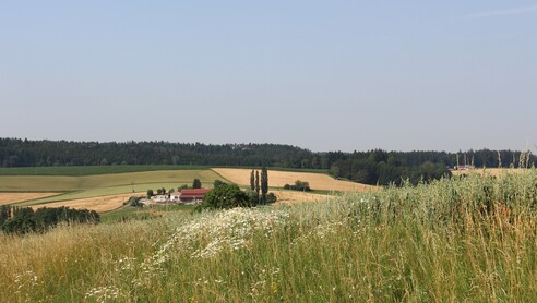 Ausblick bei Leiten