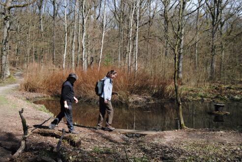 Am Birkensee