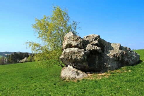 Krokodilfelsen (Bad Birnbach)