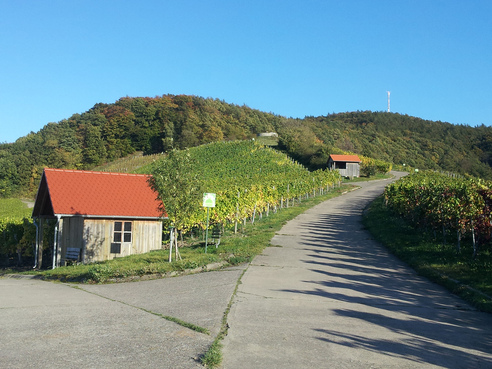 Hütten am Frankenblick