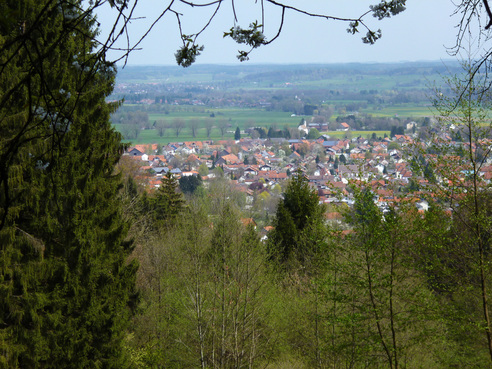 Am Rand einer Waldlichtung bietet sich ein schöner Blick auf Peißenberg.