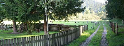 Startpunkt - zwischen Kindergarten und Friedhof