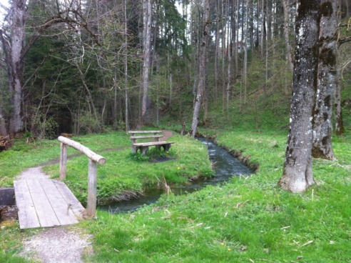 Über die Brücke kommen wir zu einem idyllischen Pfad am Neuhausbach