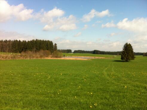 Blick auf den Hofsee