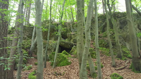 Höhle Nr. 2 versteckt sich in verblocktem Gelände