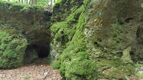 Die Kaminhöhle Nr. 26