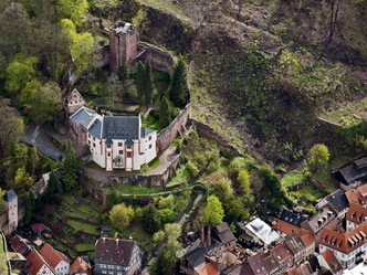 Mildenburg von oben