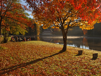 src_99043991-0.jpg