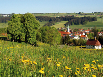 src_99044018-0.jpg
