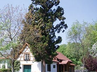 src_99043982-0.jpg