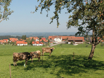src_99044006-0.jpg