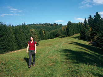 src_99043994-0.jpg