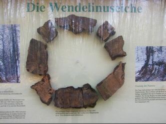 Wendelinuseiche
