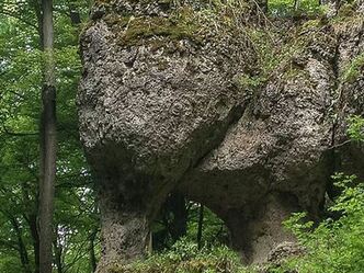 Der Jura Elefant