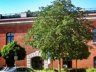 Jugendherberge Ingolstadt