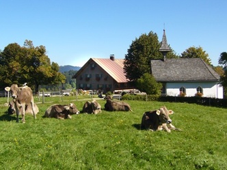 Königsalpe