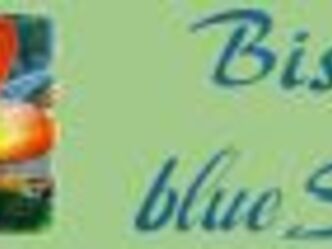 163x53-images-stories-Partner-blueSTAR_Logogruen