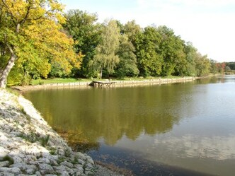 Badestrand am Schnerzhofer Weiher
