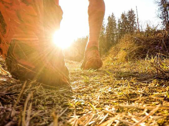 Trailrunning