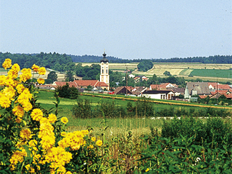 Blick auf Painten