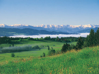 src_99044013-0.jpg