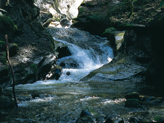 src_99044021-0.jpg
