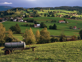src_99044026-0.jpg
