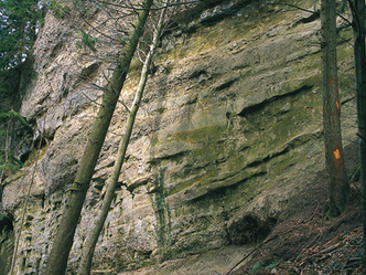 src_99044020-0.jpg