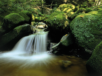 src_99044019-0.jpg
