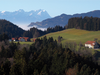 src_99044025-0.jpg