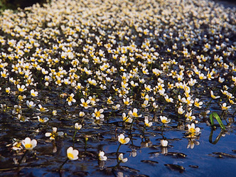 src_99044032-0.jpg