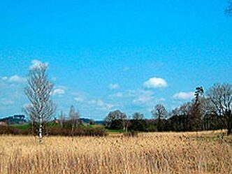 src_99043984-0.jpg