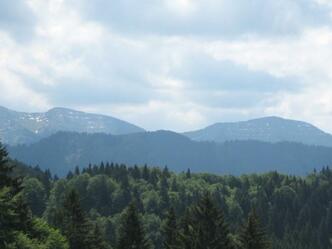 Blick zum Hochgrat