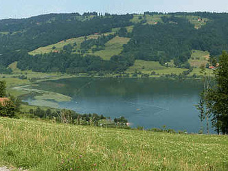 Rund um den Alpsee 1