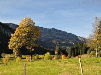 Rohrmoos