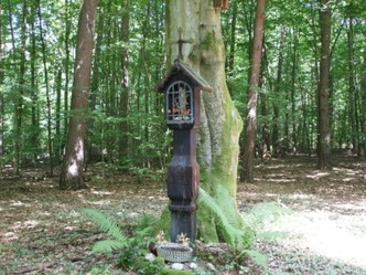 Bildbaum im Forst