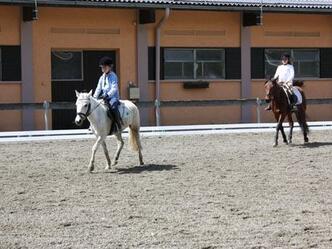 Reitgut Lammertal